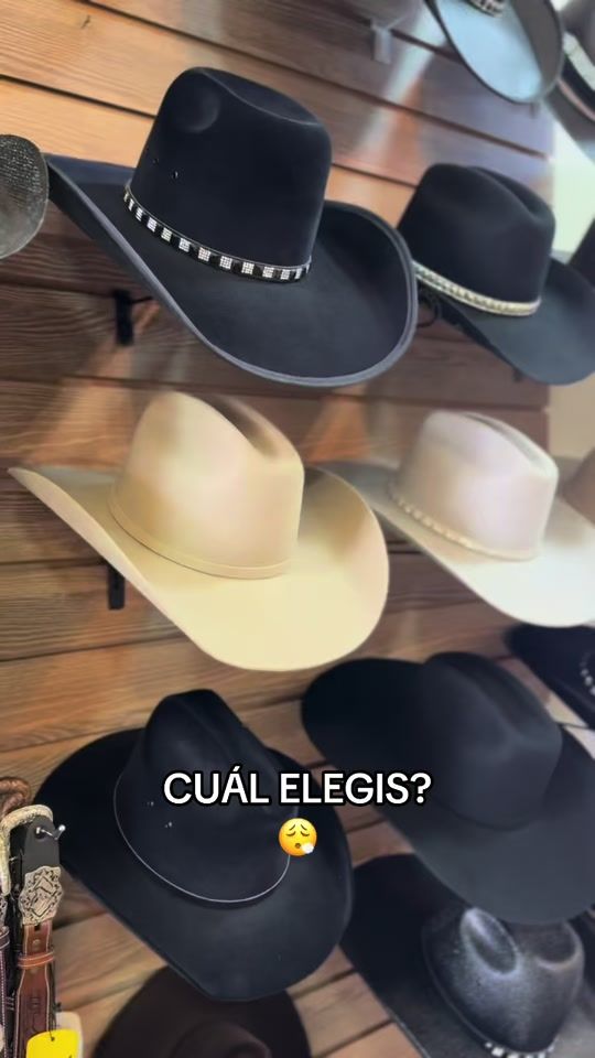 TikTok video thumbnail by labrasileramodacountry