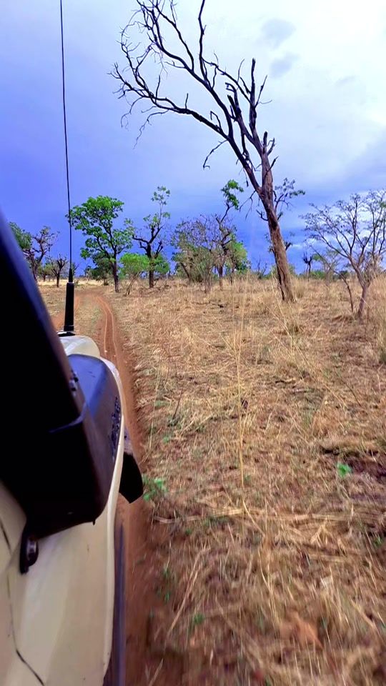 TikTok video thumbnail by user2717736971458