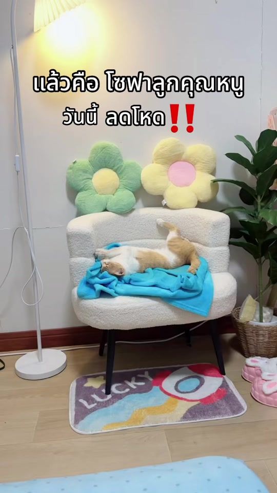 TikTok video thumbnail by pk8889.online