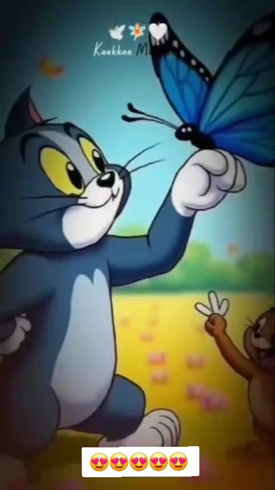 TikTok video thumbnail by vijayfa02