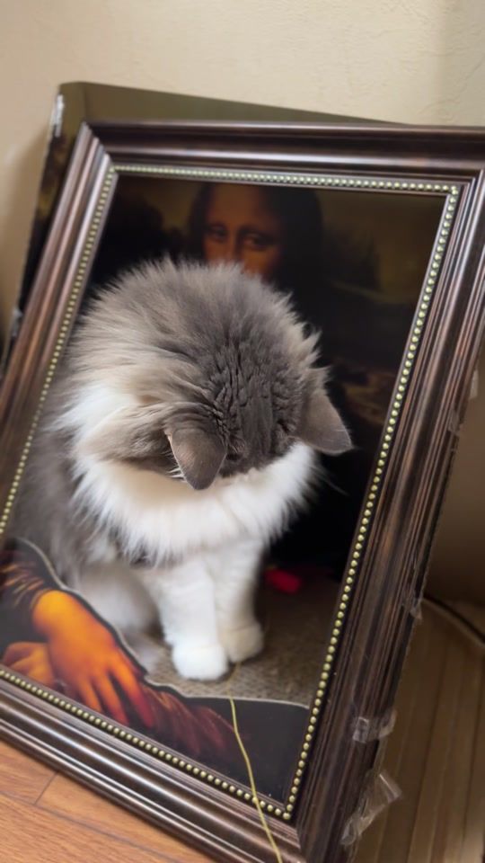 TikTok video thumbnail by oisan_cat_bot