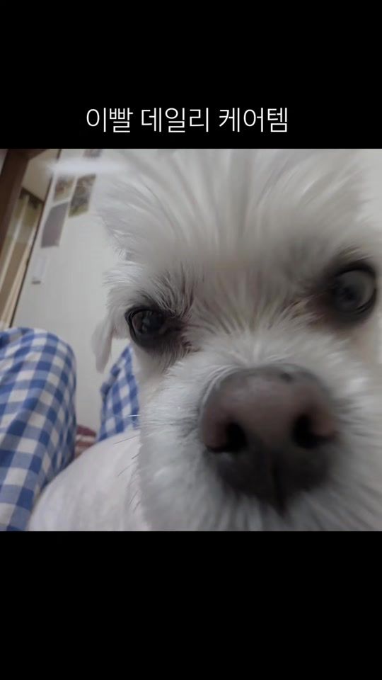 TikTok video thumbnail by real._.bread_