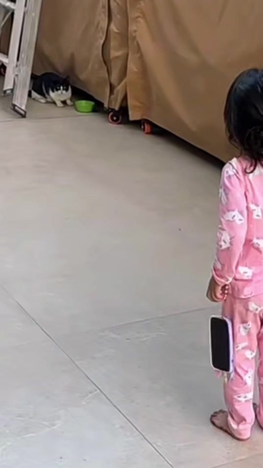 TikTok video thumbnail by hobysuliman