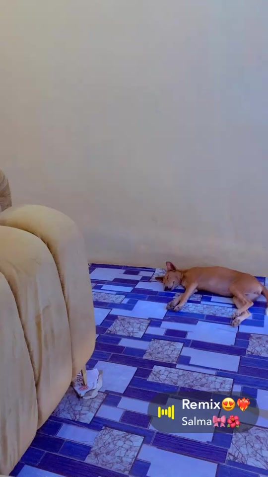 TikTok video thumbnail by agbfabri