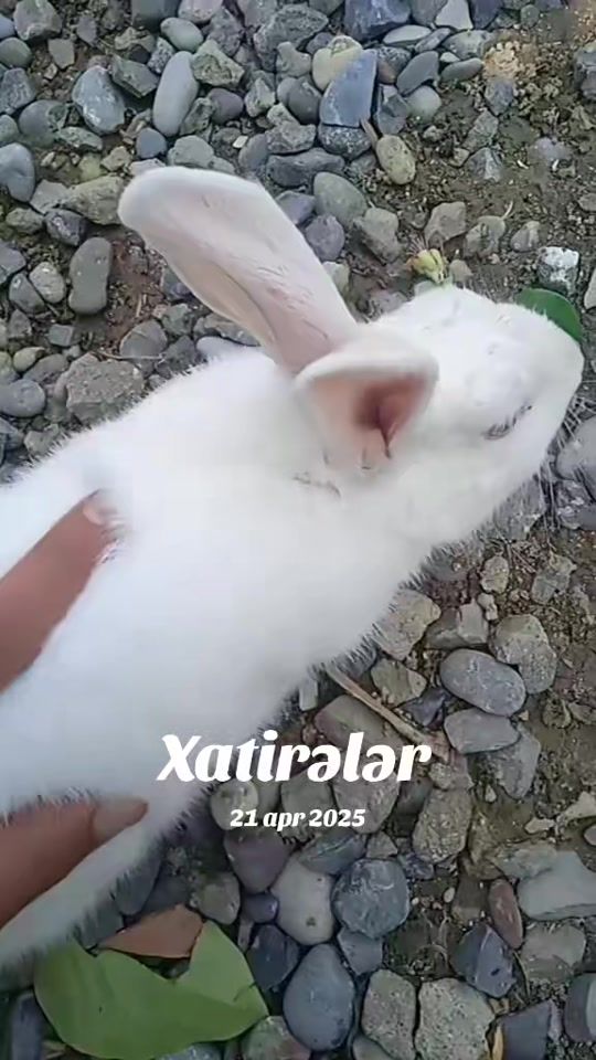 TikTok video thumbnail by imtahan_03