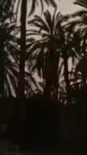 TikTok video thumbnail by ho.___zz30