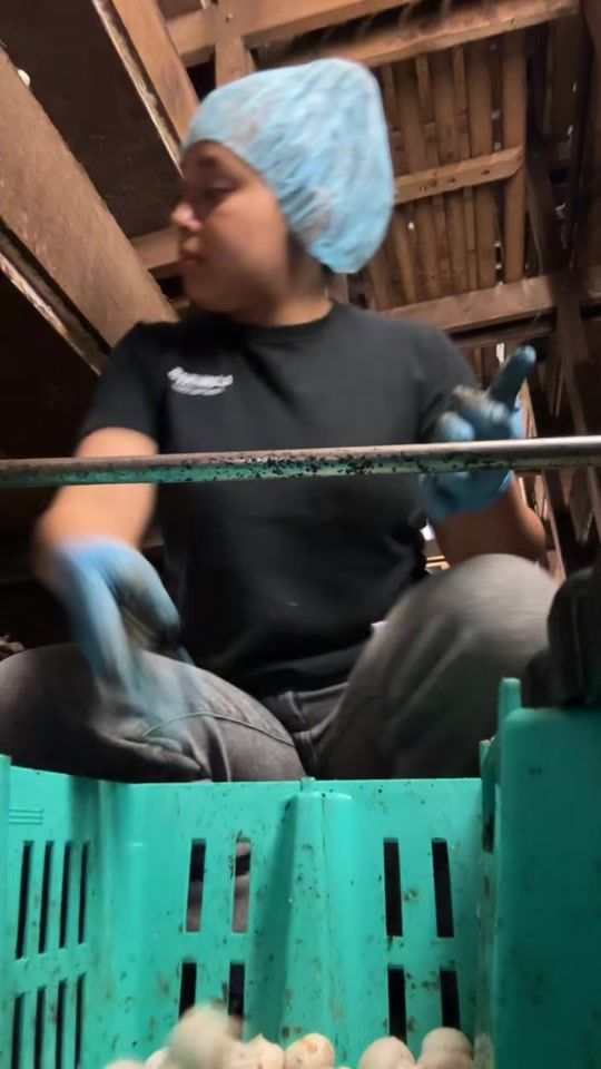 TikTok video thumbnail by animorales14