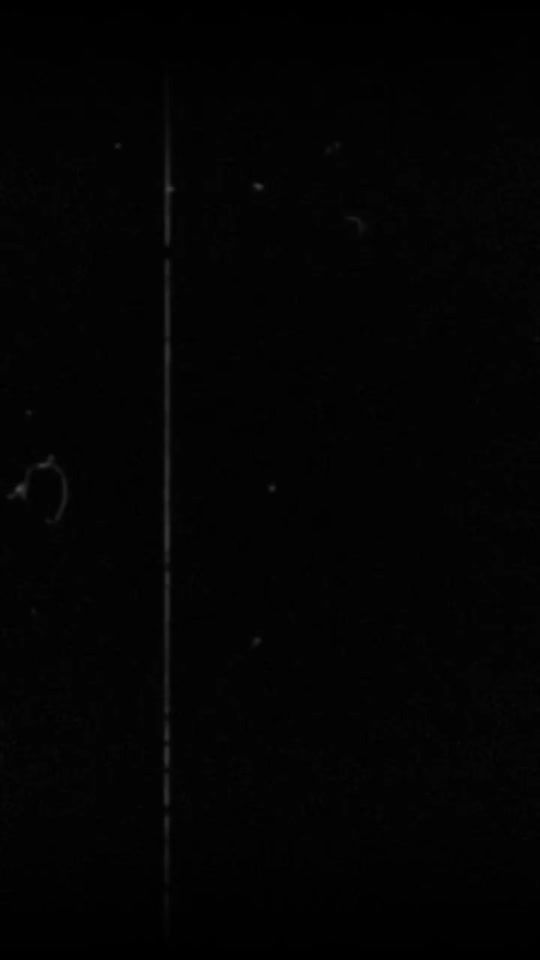 TikTok video thumbnail by dilu57693