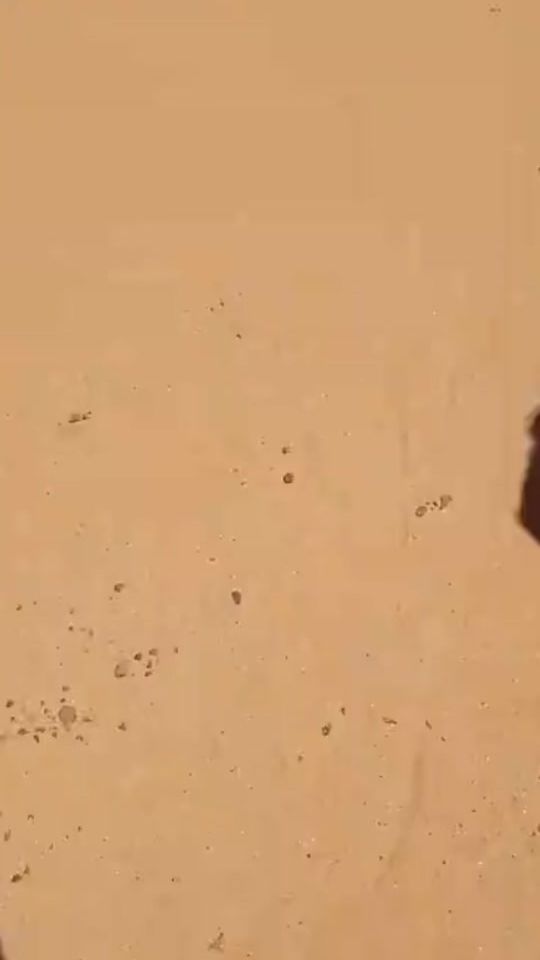 TikTok video thumbnail by __d_1_2_8