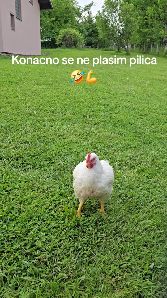 TikTok video thumbnail by taske_2611