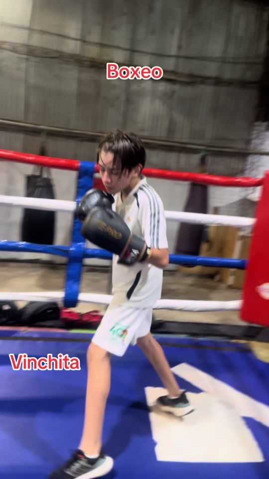 TikTok video thumbnail by boxeo_eduardosejas