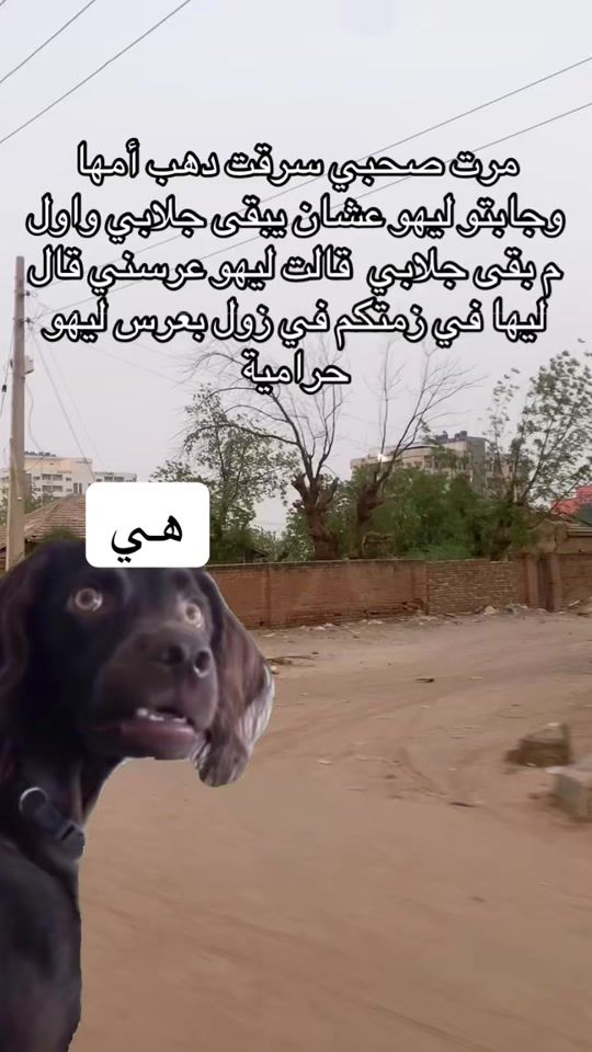 TikTok video thumbnail by hm_ad926