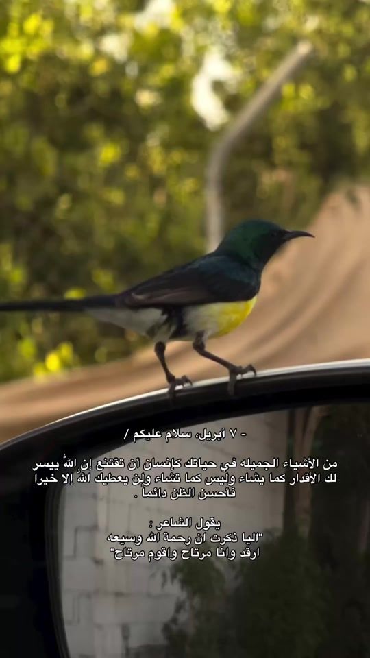 TikTok video thumbnail by vnux4