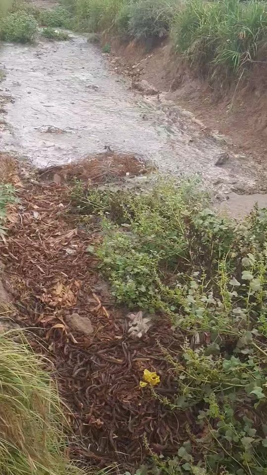 TikTok video thumbnail by user99605045333424