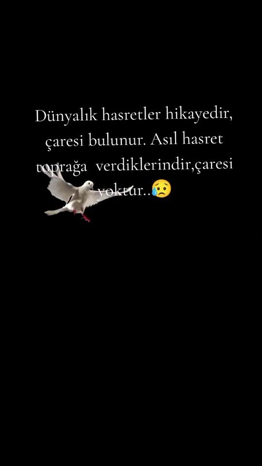 TikTok video thumbnail by kartanesi_887