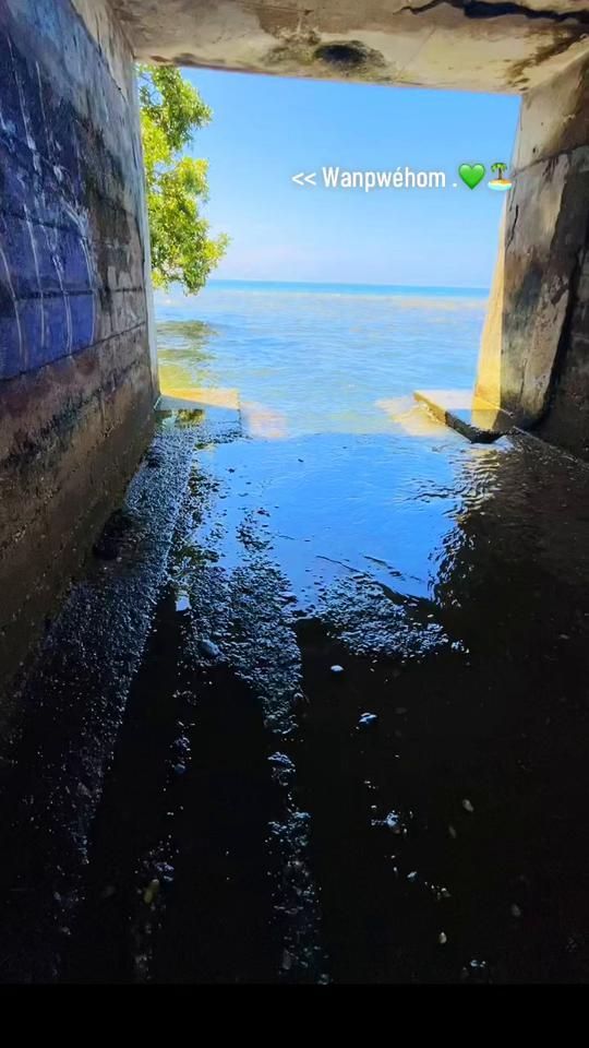 TikTok video thumbnail by htmwp.2