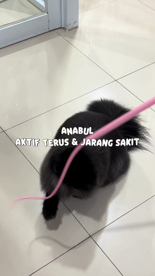 TikTok video thumbnail by olivecareofficial