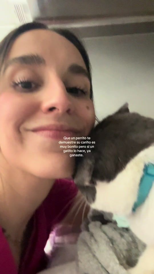 TikTok video thumbnail by evejims