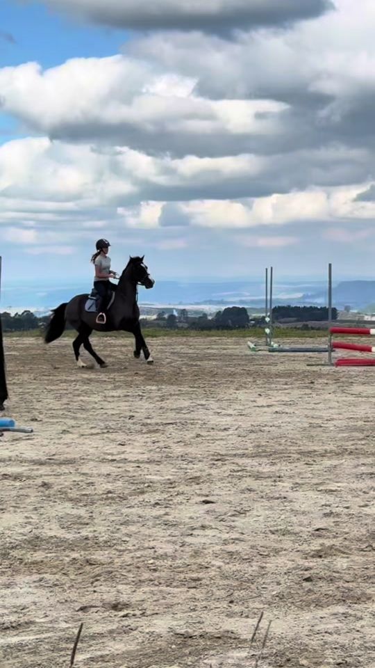 TikTok video thumbnail by rubi_andthe2iconicponies