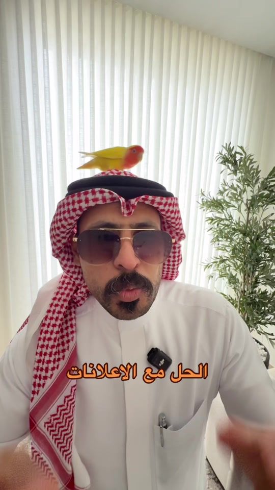 TikTok video thumbnail by bomango