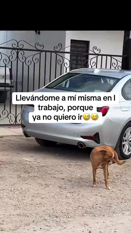 TikTok video thumbnail by chinitagrac