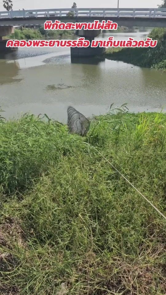 TikTok video thumbnail by moac_64