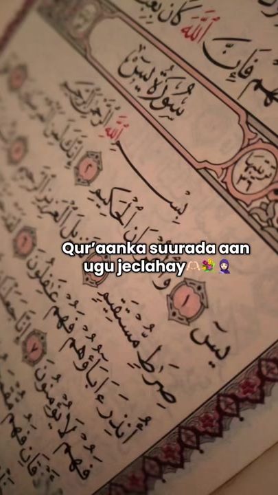 TikTok video thumbnail by fardowso252