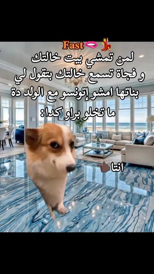 TikTok video thumbnail by dollar21264