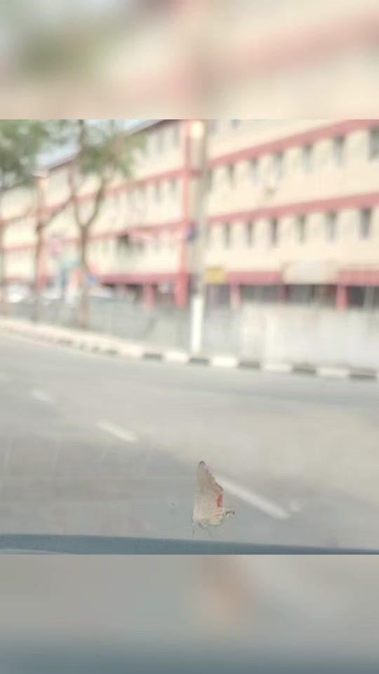 TikTok video thumbnail by lynne13140
