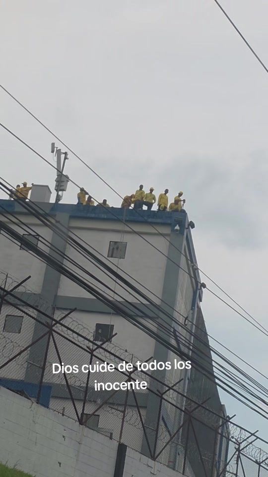 TikTok video thumbnail by elfred81