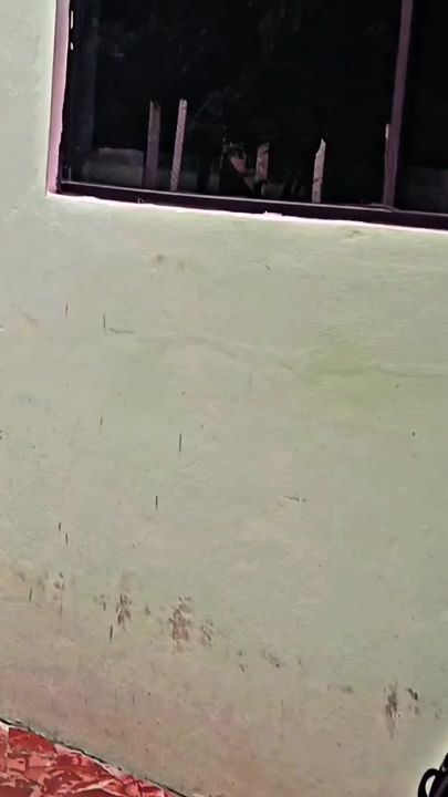 TikTok video thumbnail by tr4p_c4rlox.ofc
