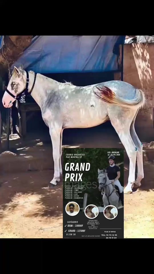 TikTok video thumbnail by oumargolfa1