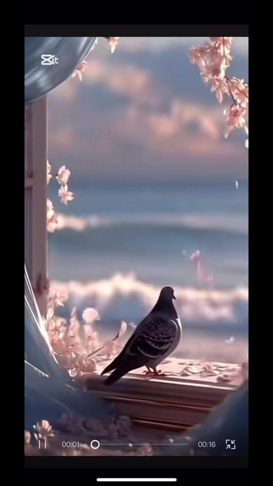 TikTok video thumbnail by gulka.136