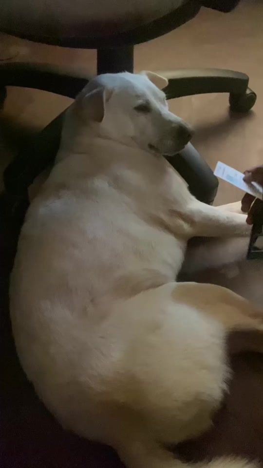 TikTok video thumbnail by shanukajay