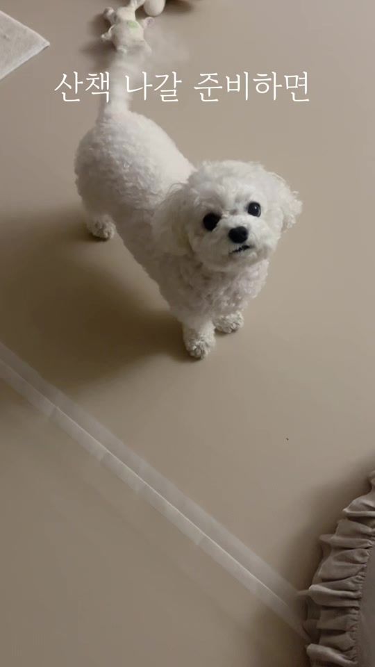 TikTok video thumbnail by merch_l