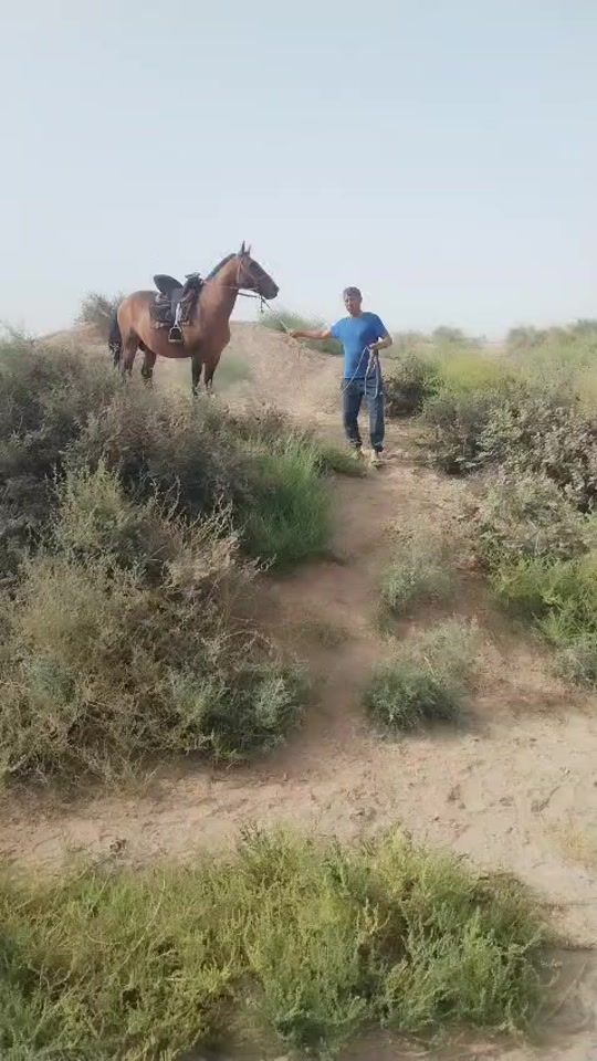 TikTok video thumbnail by bahrom694