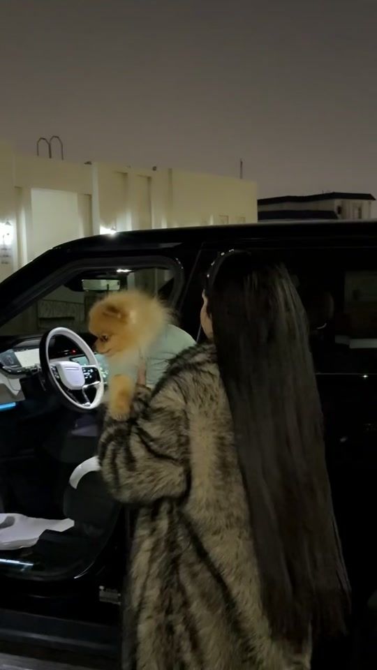 TikTok video thumbnail by asminyz