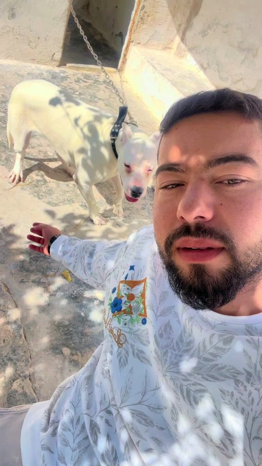 TikTok video thumbnail by thamer_laribii
