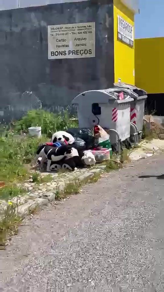 TikTok video thumbnail by naldiny17