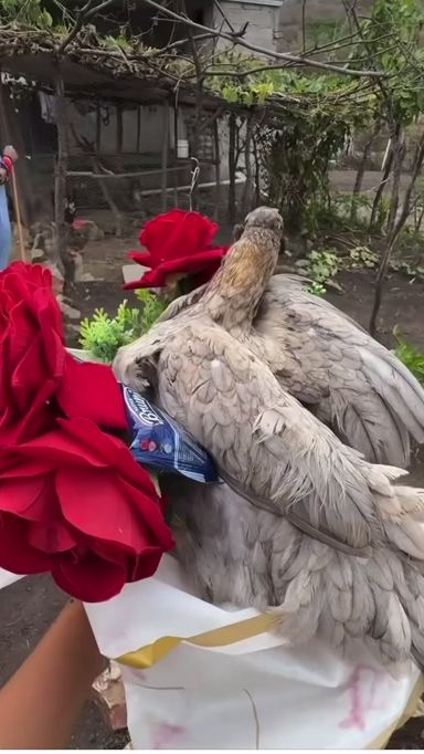 TikTok video thumbnail by brendah5535