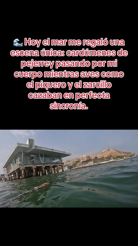 TikTok video thumbnail by ronald.alarcon.anco