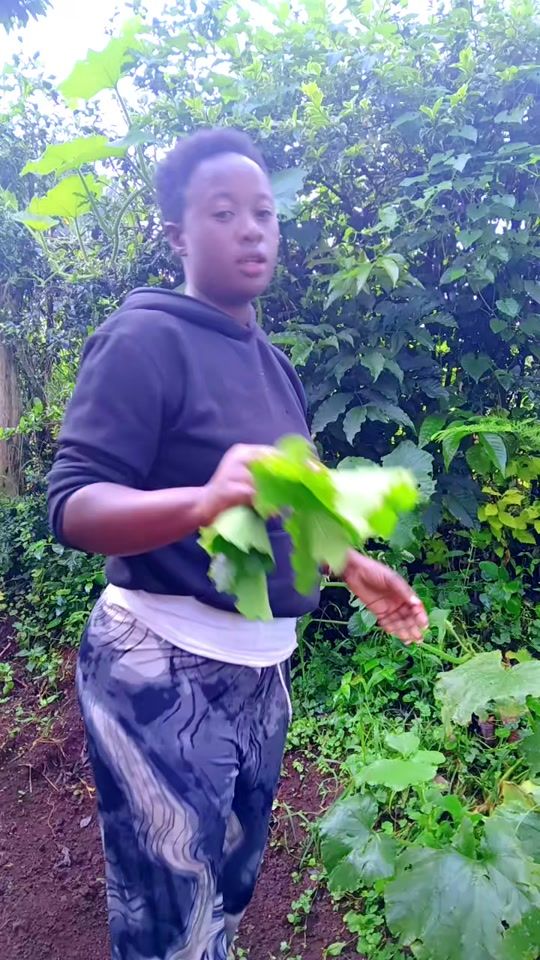 TikTok video thumbnail by eve_mike3