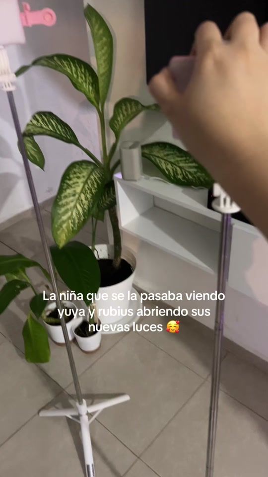 TikTok video thumbnail by fanny_caballero01