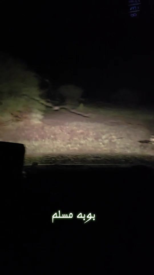 TikTok video thumbnail by userwyauezo6tz