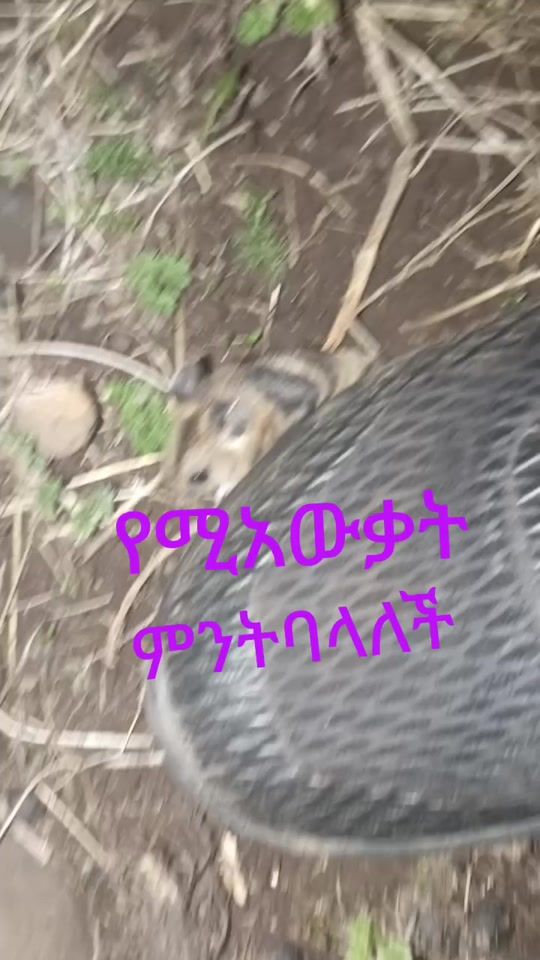 TikTok video thumbnail by gojamew1077