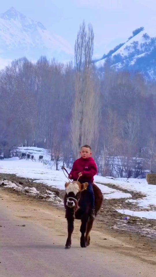 TikTok video thumbnail by china_cossack