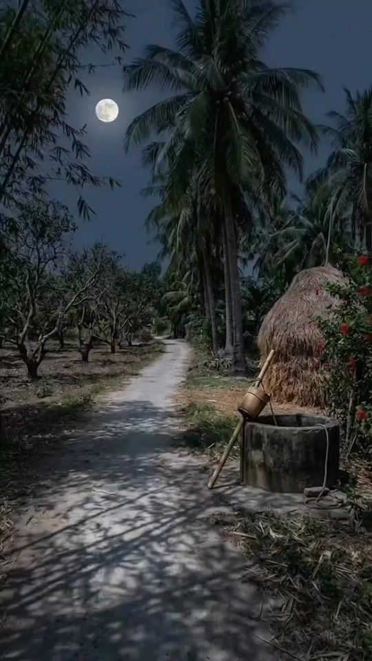 TikTok video thumbnail by king_of_lyricx