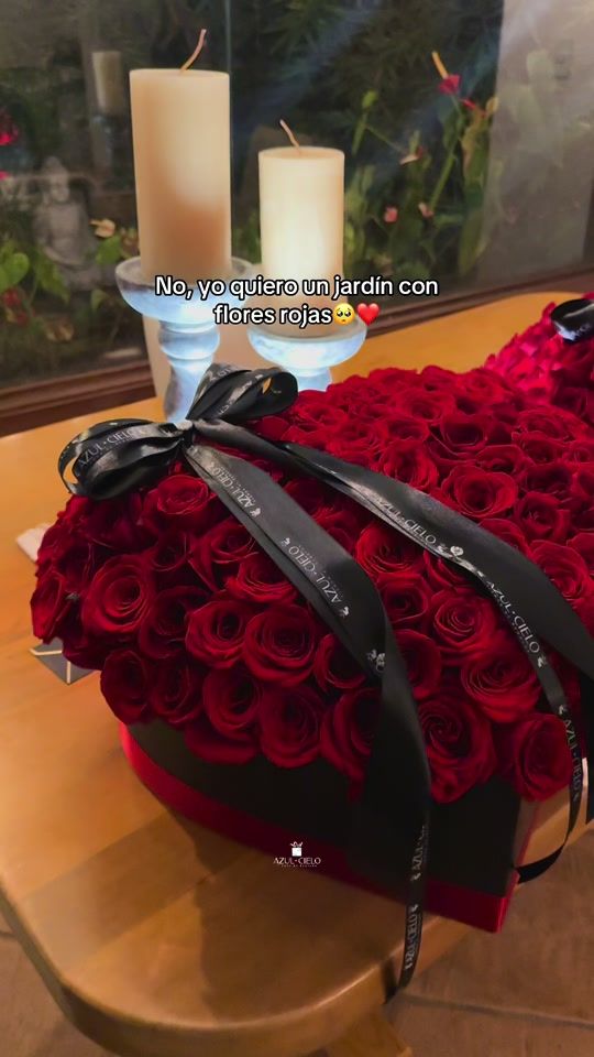 TikTok video thumbnail by azulcielo.sc