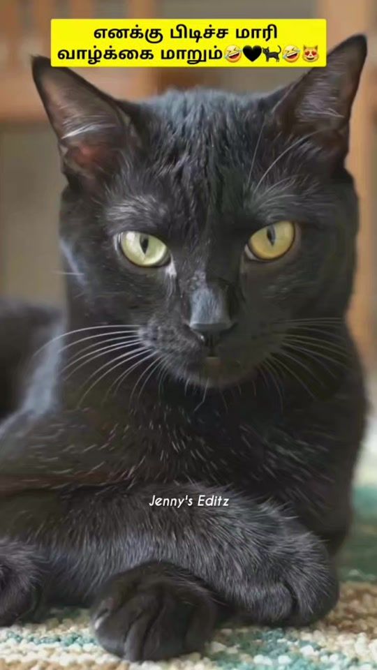 TikTok video thumbnail by g_jenny8