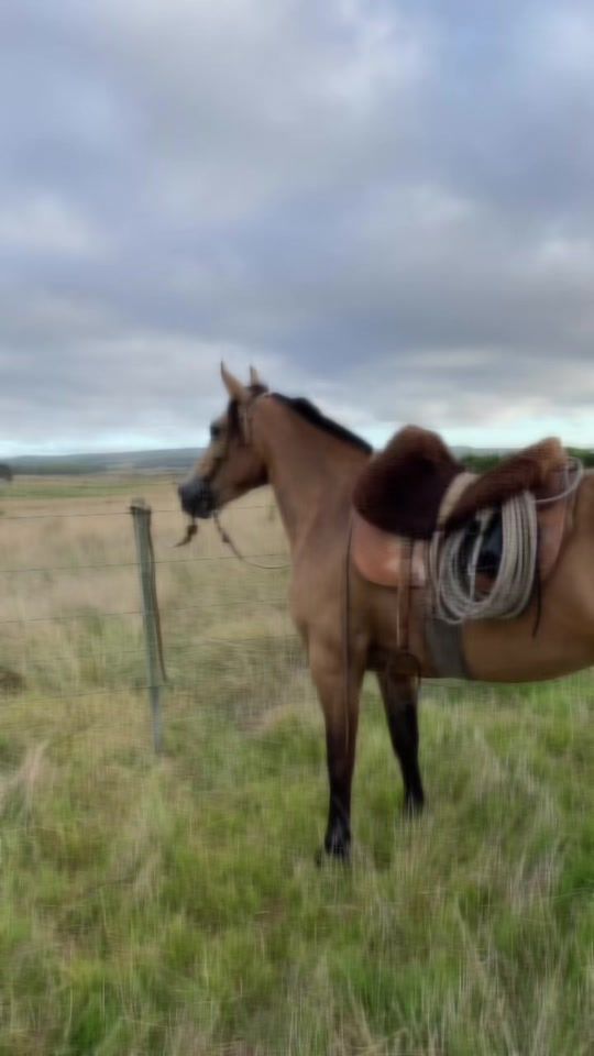 TikTok video thumbnail by tavo172003